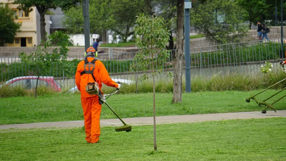 WhatsApp Image 2025-03-31 at 15.55.41