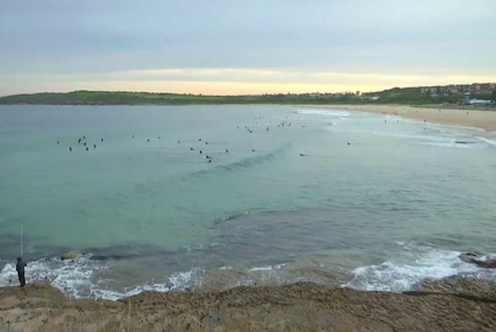 Australia _ playas _ cierre_ gentileza