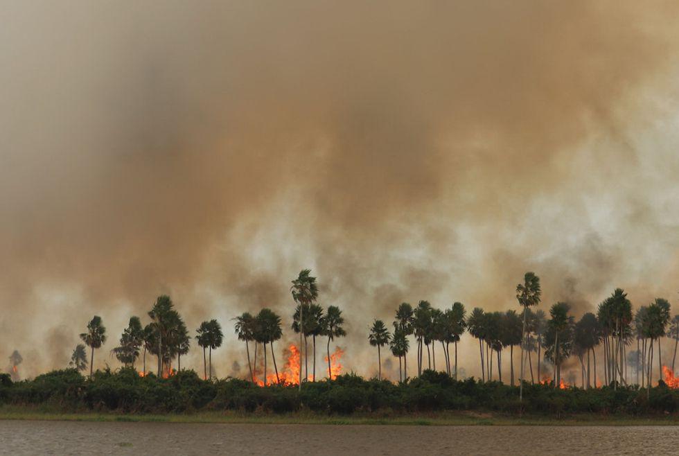 Incendios forestales en Brasil. Foto: Google