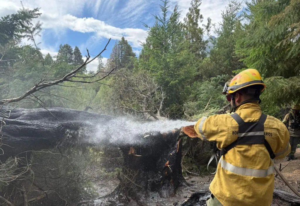 bomberos cordobeses