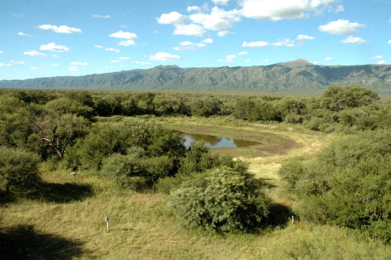 Pago por Servicio Ambiental
