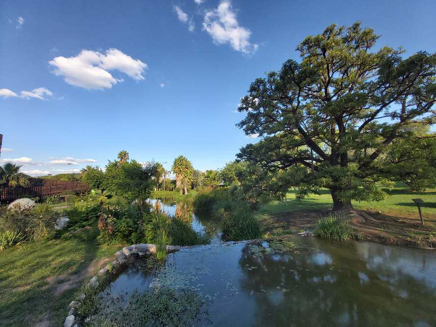 22-Jardin Botanico - El Objetivo