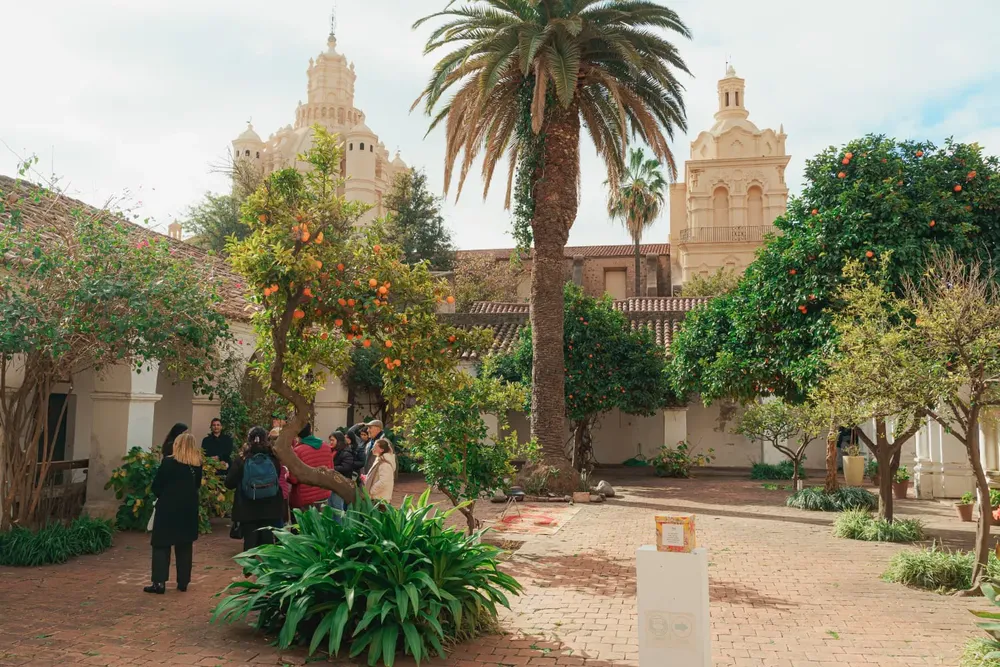 vacaciones de invierno