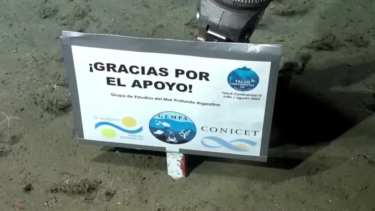 conicet
