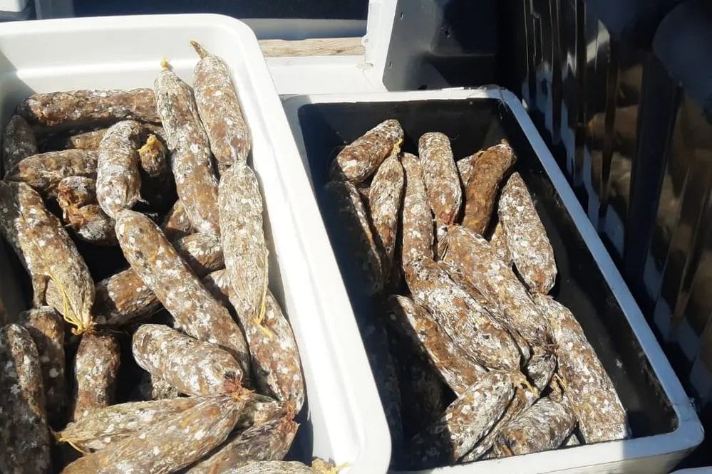 EL OBJETIVO FOTO TANCACHA SECUESTRO CARNEADA TRIQUINOSIS