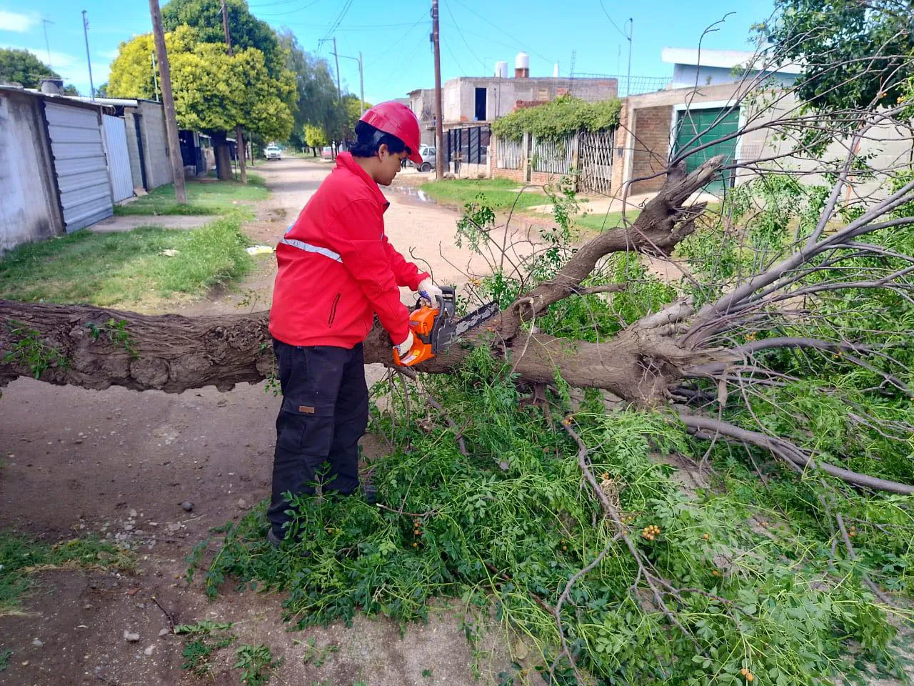 Defensa Civil