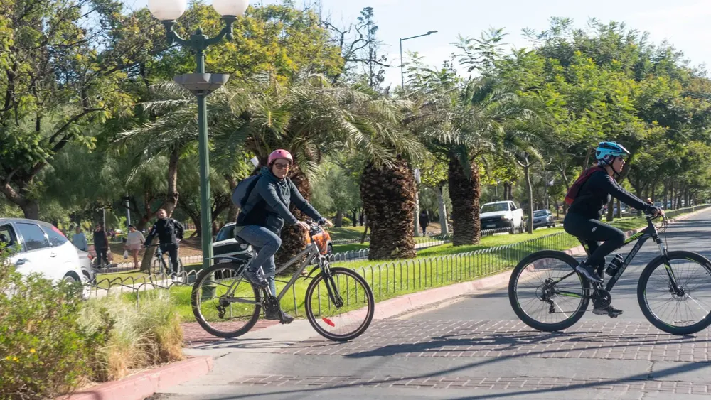 WhatsApp Image 2024-10-17 at 16.28.52 (1)