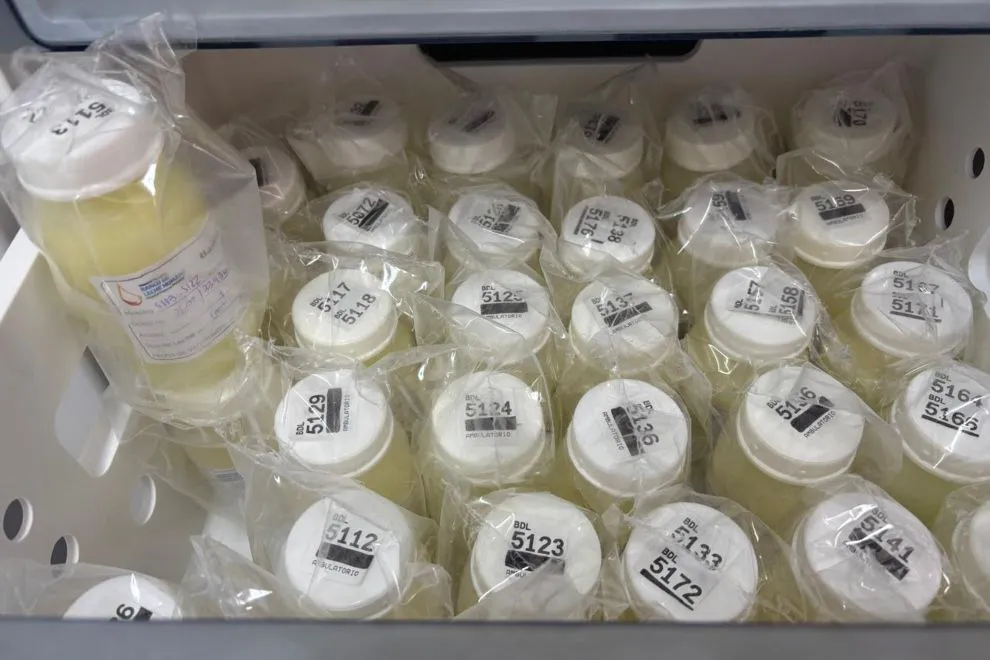 banco de leche humana