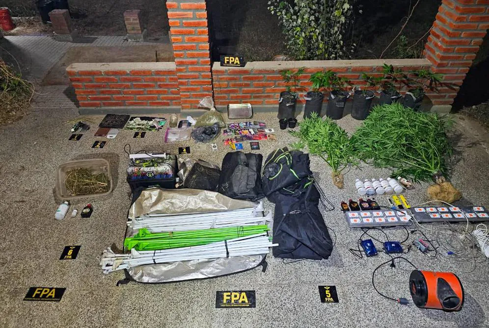 EL OBJETIVO FOTO FPA QUEBRADA DE LOS POZOS MARIHUANA