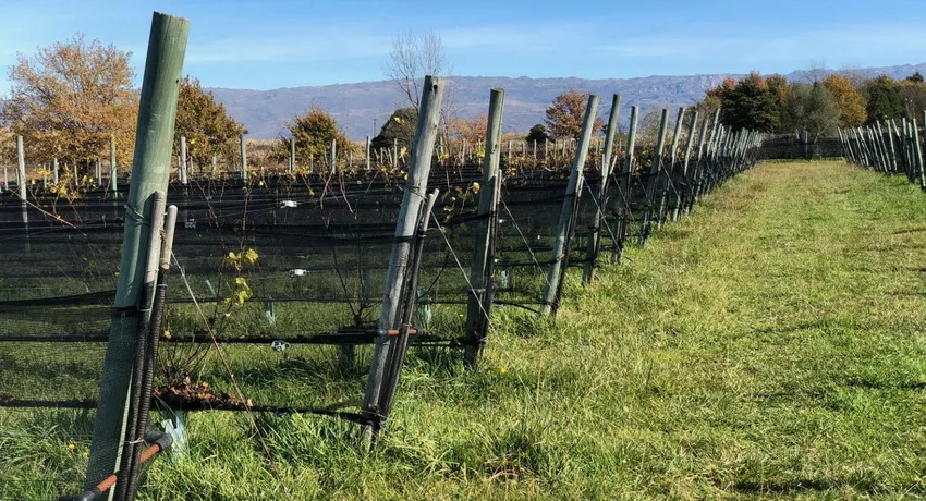 Enoturismo-en-cordoba_ cba.gov.ar