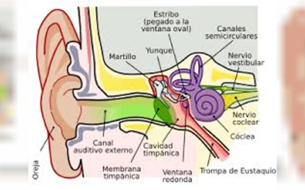 reparación del tímpano en Níger