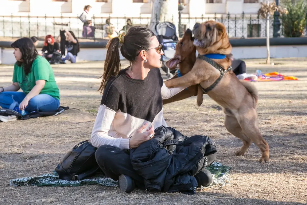 ola de calor prevenir