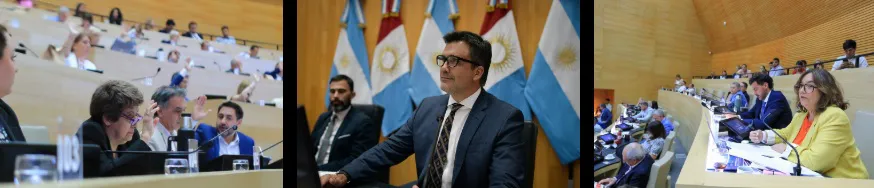 Es ley ficha limpia 3