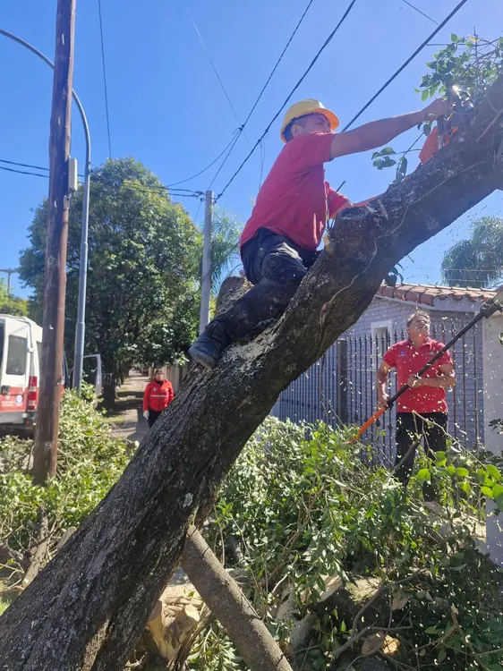 defensa civil municipal