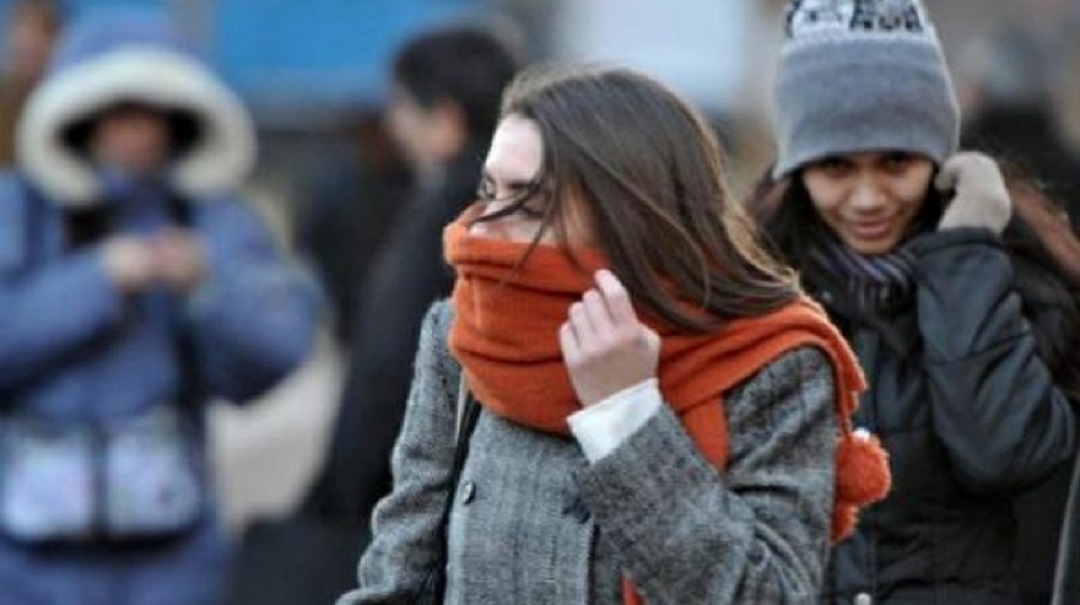 ola polar pais