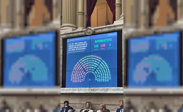 Votacion DNU diputados