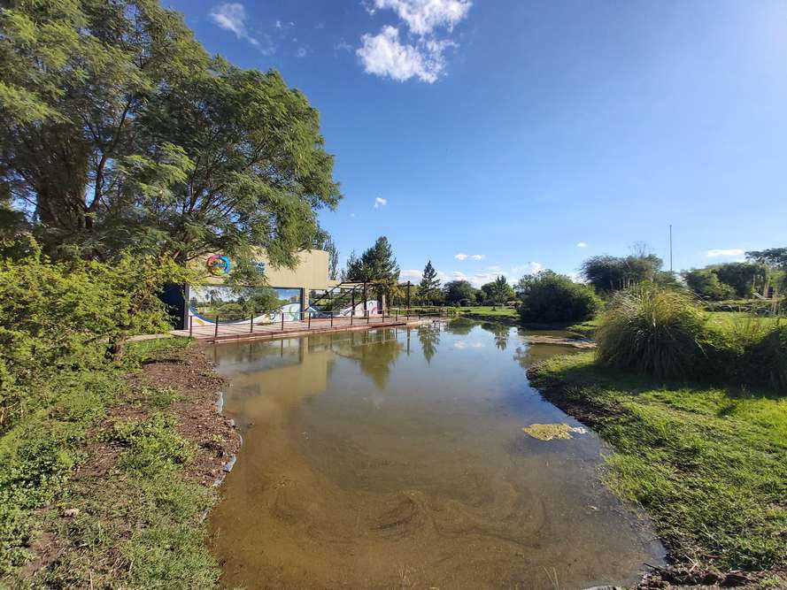 15-Jardin Botanico - El Objetivo