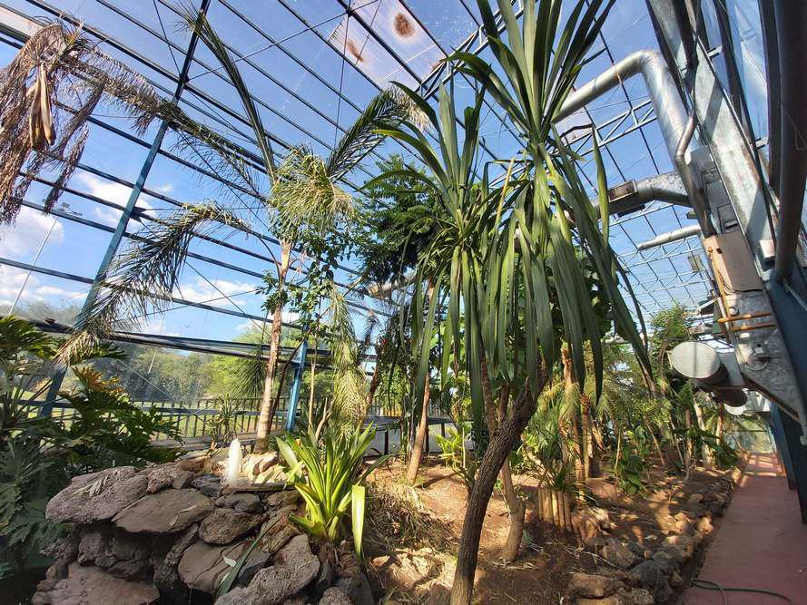 El Jardín Botánico de Córdoba abre nuevamente sus puertas