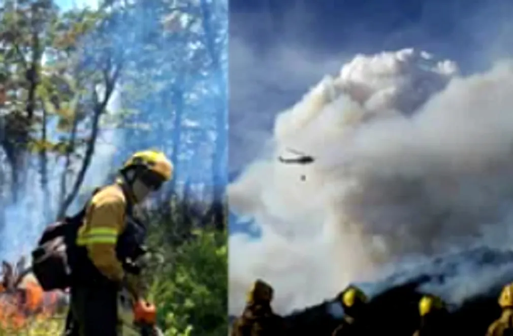 Patagonia Incendios 