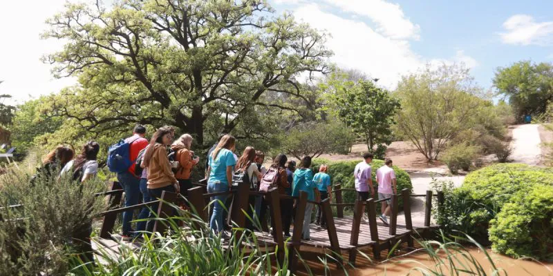El Jardín Botánico
