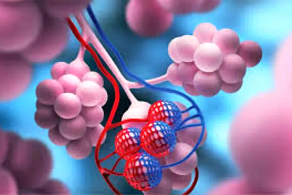 Día de la Leucemia Linfocítica Crónica