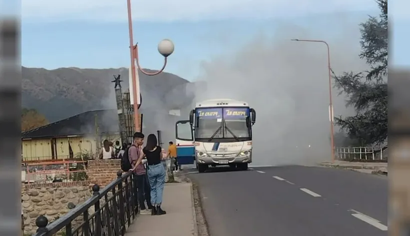 colectivo