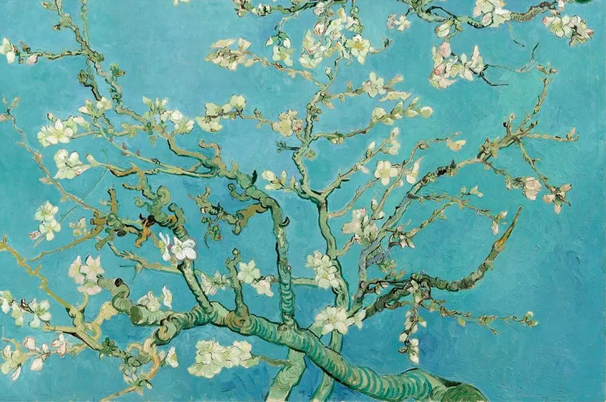 Van-Gogh-Museo-Caraffa_ cba.gov.ar
