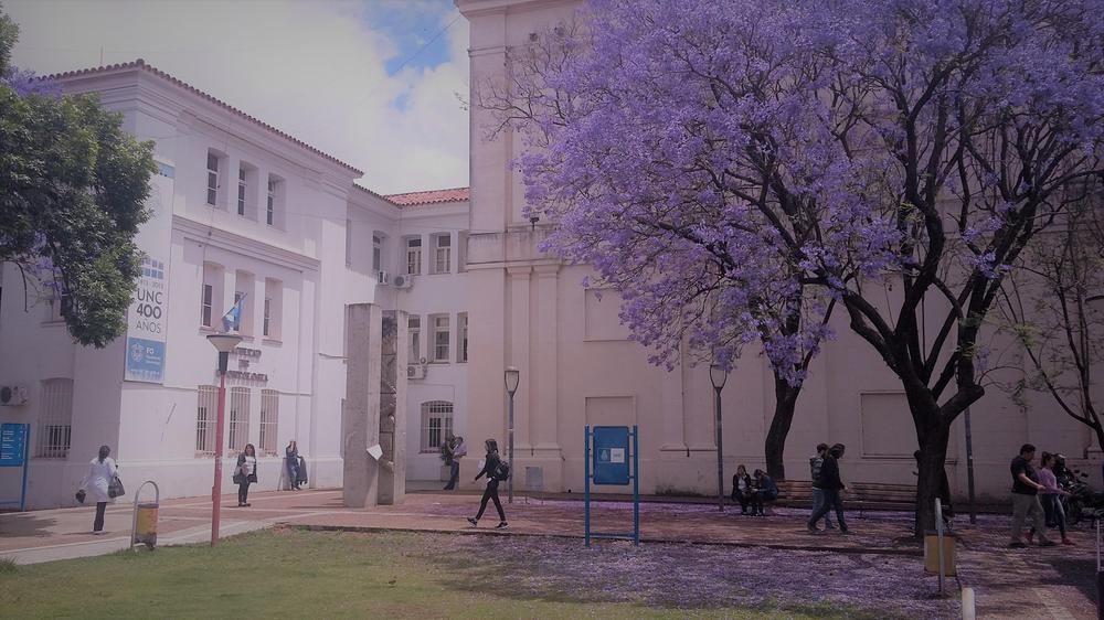 facultad de odontología