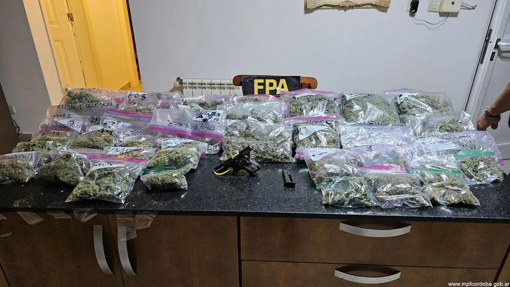 EL OBJETIVO FOTO FPA MENDIOLAZA MARIHUANA