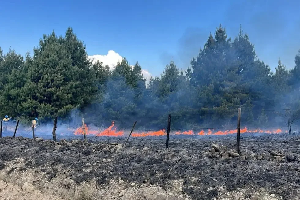 incendios