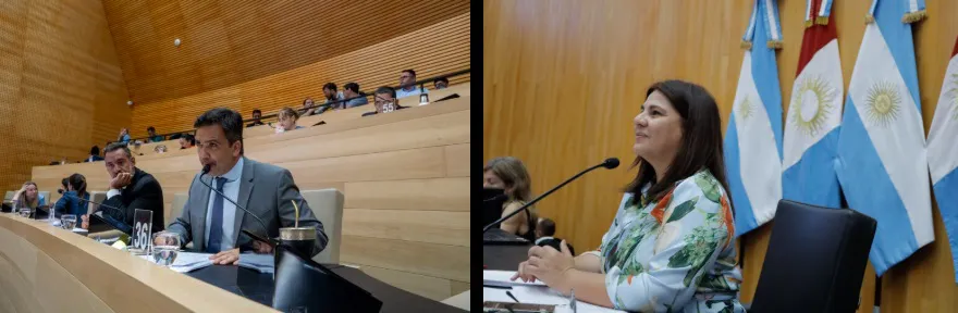 Legislatura Presupuesto Provincial 2025 4