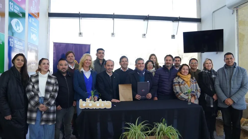 WhatsApp Image 2024-06-04 at 15.26.31 (1)