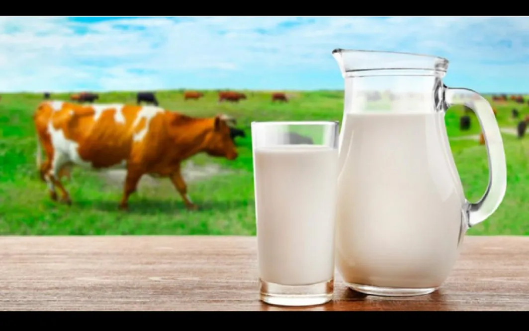 leche de vaca