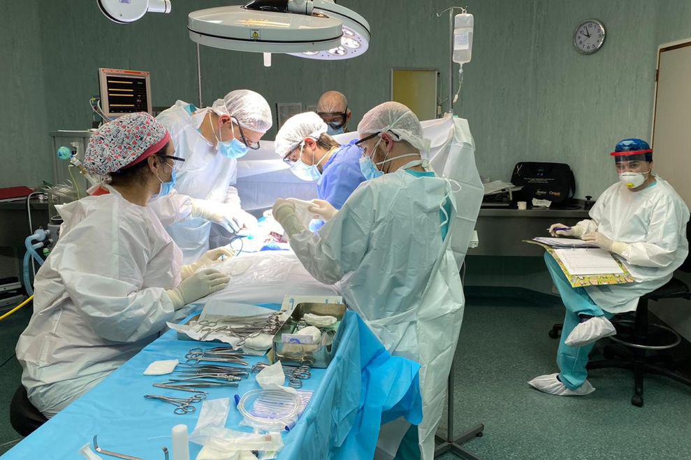 Hospital-Florencio-Diáz-cirugía neonatal