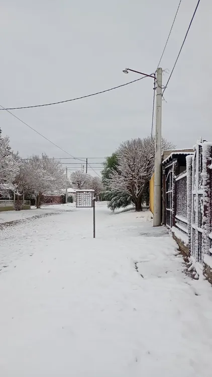 nieve