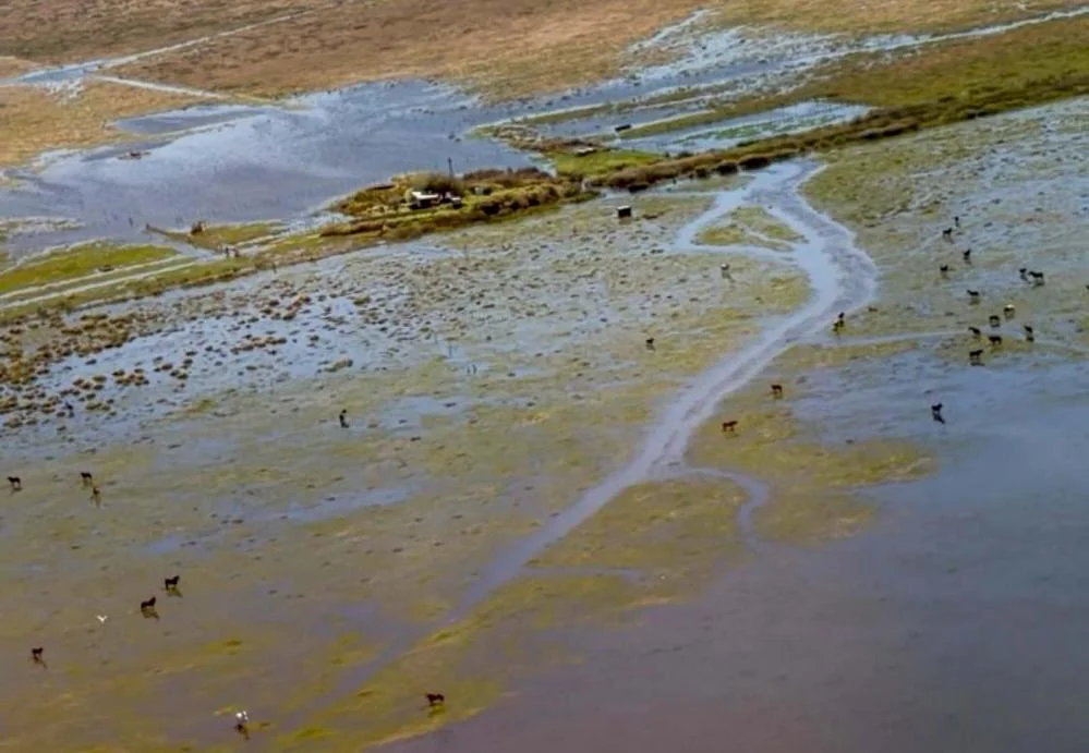 EL OBJETIVO FOTO PARAJE ISLA VERDE AYUDA GOBIERNO 2