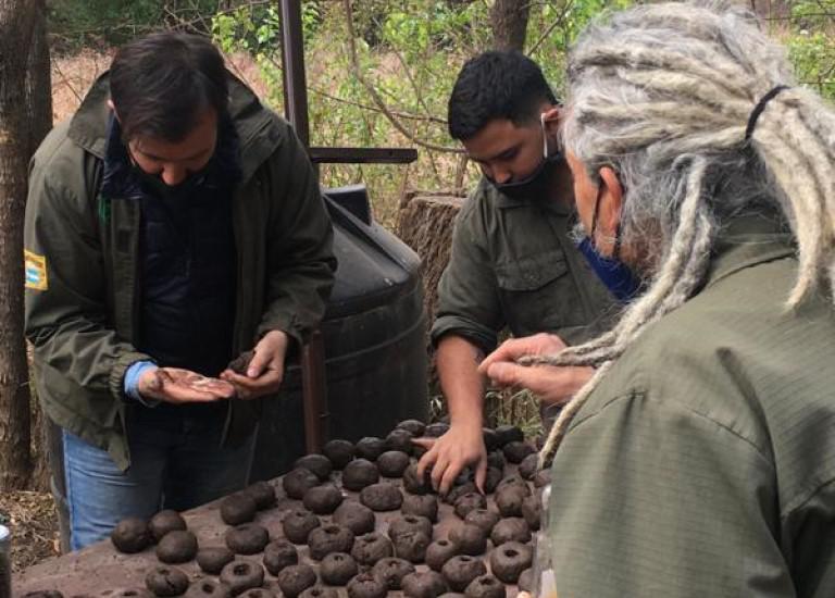 Bomba de Semillas 2