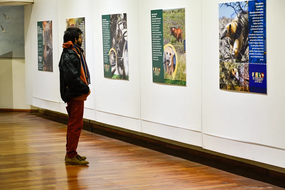 Biodiversidad en apuros
