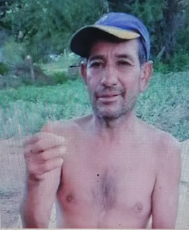 búsqueda