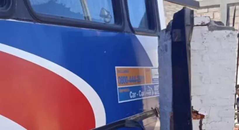 colectivo