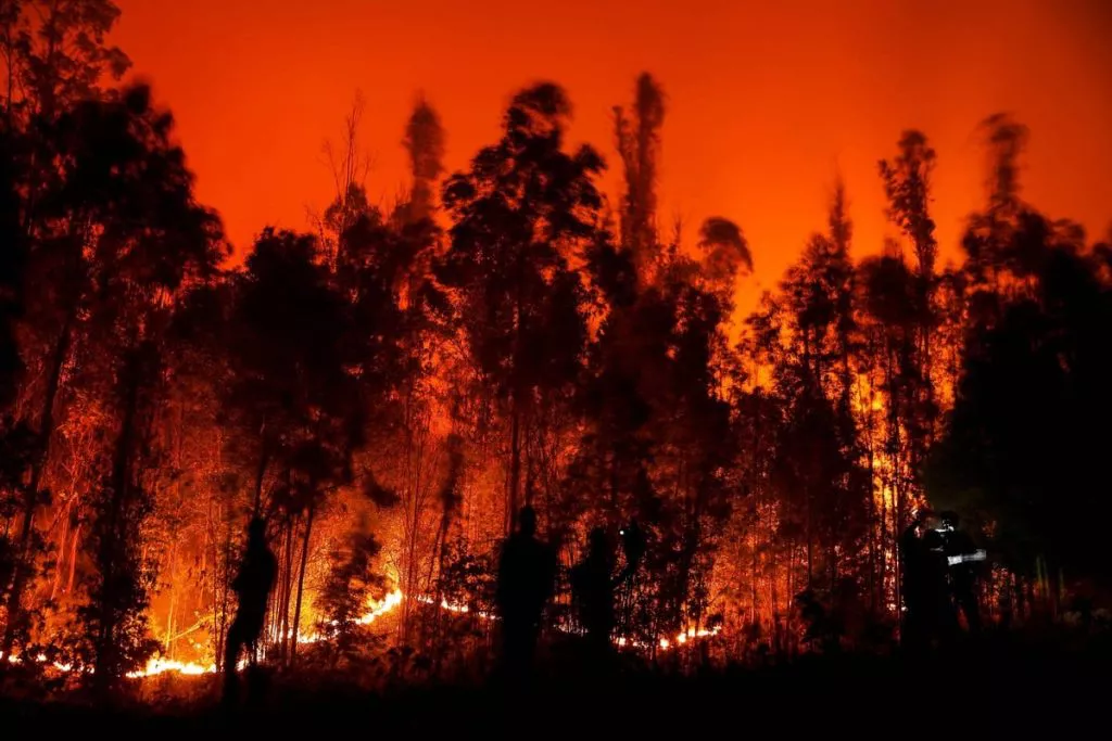incendios en chile