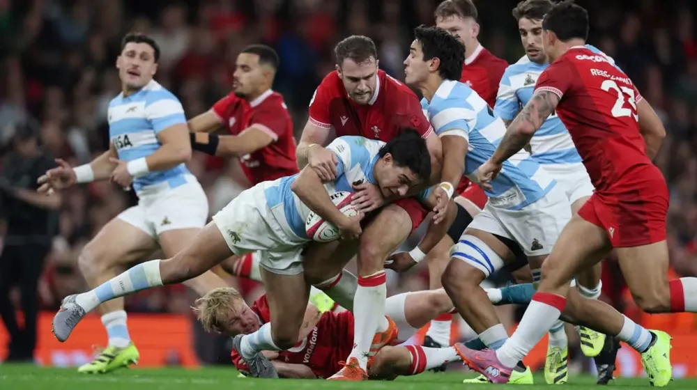 los pumas