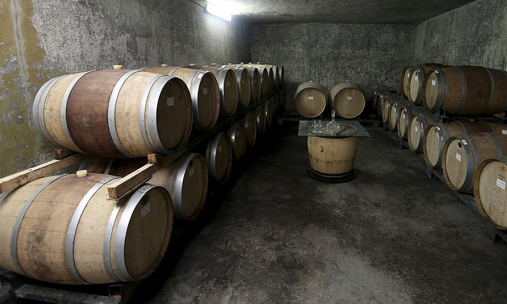 atp - elaboracón de vinos