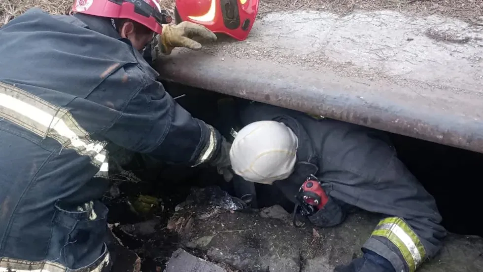 bomberos rescate