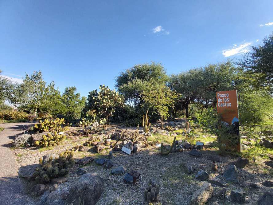 El Jardín Botánico de Córdoba abre nuevamente sus puertas