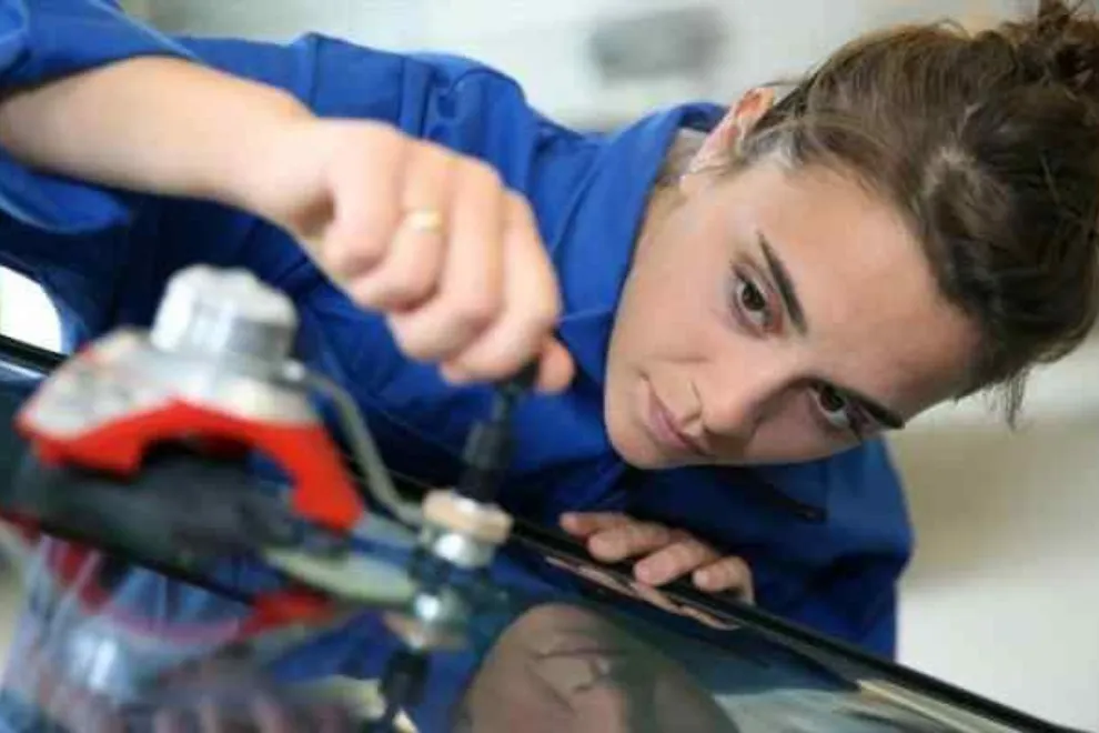 los programas de empleo