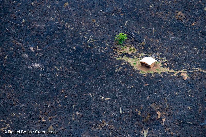 IncendioAmazona20194