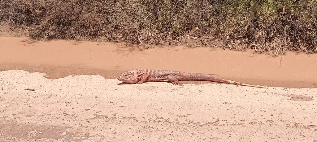 Flora y fauna de la reserva
