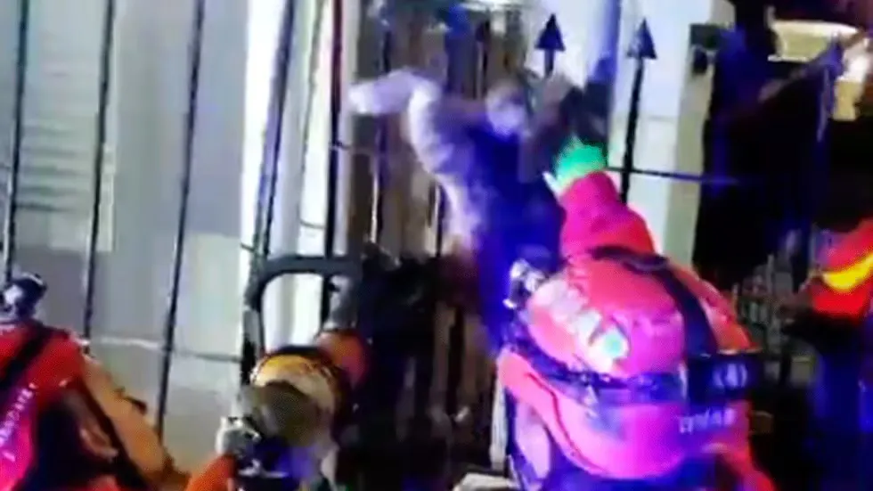 duar rescate a gato