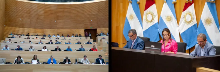 Legislatura Presupuesto Provincial 2025 5